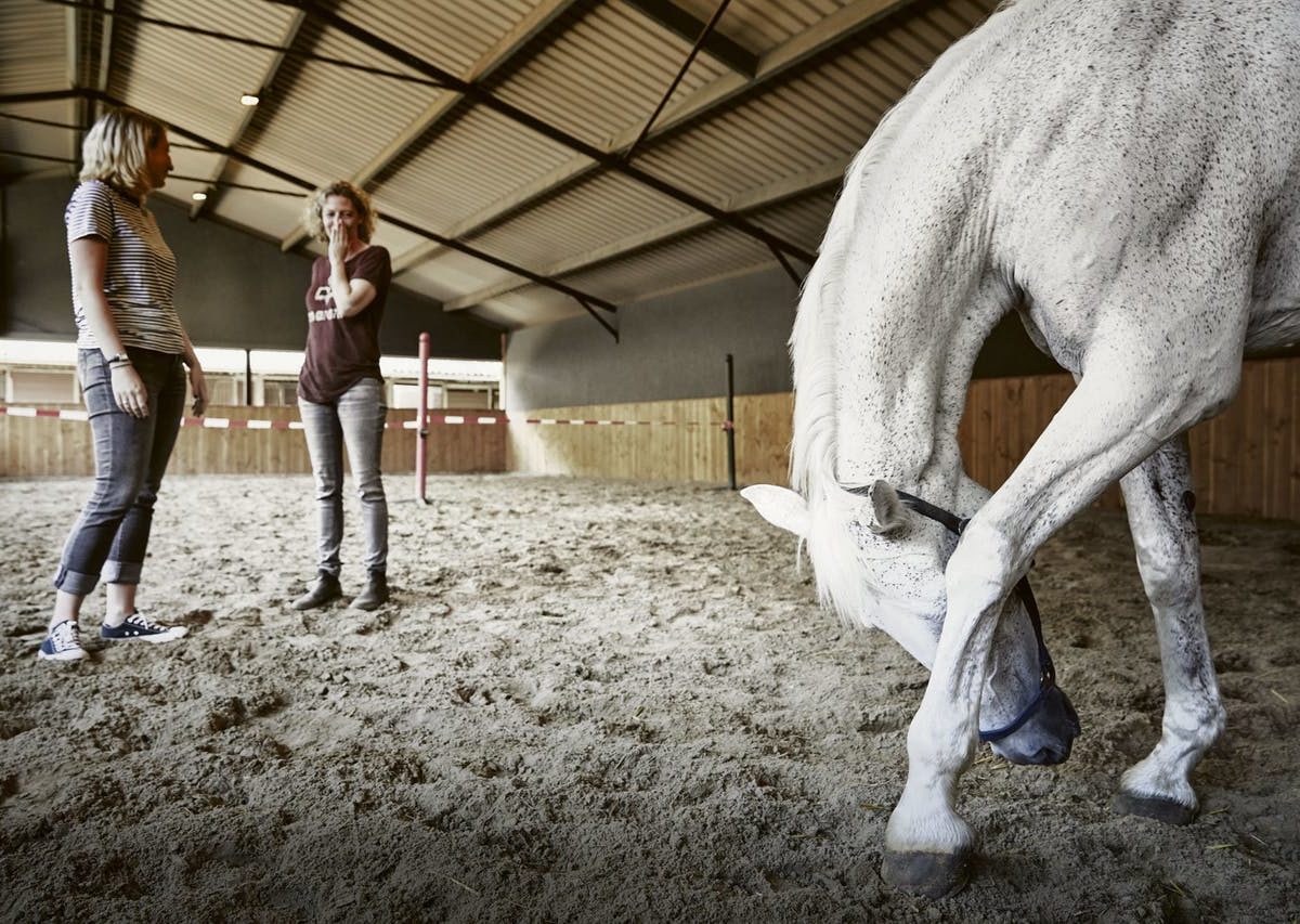 Vertrouwen komt te paard